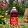 More Birds RTU Hummingbird Nectar Red 64 oz.