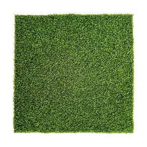 Integriturf Synthetic Turf Pinehurst Putt 5/8 in. 38 oz.