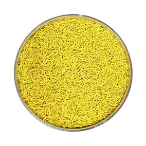 Payday Tetraploid Perennial Ryegrass Seed 50 lb. 