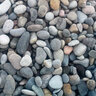 Bulk River Rock Mesa Gray Cobbles 1 - 3 in.