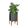 Pacific Planter Areca Palm Lg Silver 12 in. x 12 in. x 12 in.