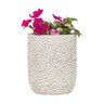 Abbott Planter / Vase Daisy Small White 6-1/2 in.