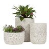 Abbott Planter / Vase Daisy Small White 6-1/2 in.
