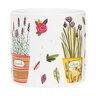 Abbott Planter Potted Herbs Lg 6-1/2 in.