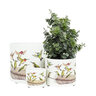 Abbott Planter Hummingbirds Lg 6-1/2 in.