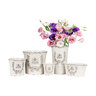Abbott Planter Embossed Bee in Crest Med 5 in.