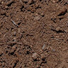 JMJ Enriched Top Soil Bulk (per cu. yd.)