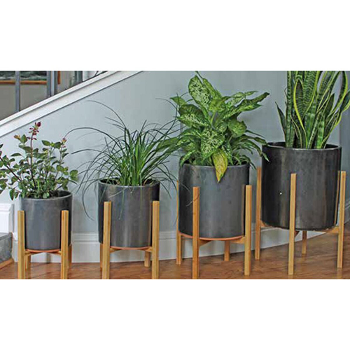 Pacific Planter Areca Palm Sm Silver 8-1/2 in. x 8-1/2 in. x 8-1/2 in ...