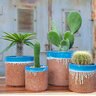 Pacific Planter Areca Palm Lg Azure Casting Sand 12 in. x 12 in. x 12 in.