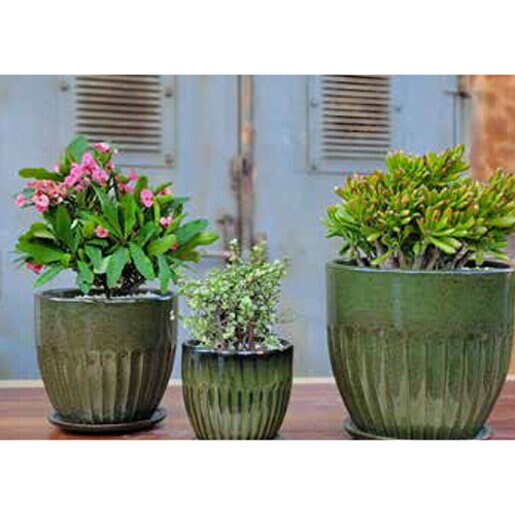 Pacific Planter Zaragoza w/ Attached Saucer Med Tropical Green 11-1/2 in. x  11-1/2 in. x 10 in | SiteOne US