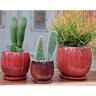 Pacific Planter Eggplant w/ Attached Saucer Sm Tropical Red 8-1/2 in. x 8-1/2 in. x 7-1/2 in.