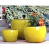 Pacific Planter Laguna Drum Med Atomic Yellow 12 in. x 12 in. x 9 in.