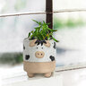 Abbott Planter Cow on Legs Sm 3 in.