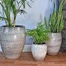 Pacific Planter Net Printed Urn Lg Cappuccino 18-1/2 in. x 18-1/2 in. x 21 in.