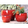 Pacific Planter Laguna Drum Lg Chili Red 16-1/2 in. x 16-1/2 in. x 12 in.