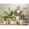 Abbott Planter Embossed Bee in Crest Med 5 in.