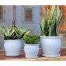 Pacific Planter w/ Attached Saucer Goblet Med White Speckle 10 in. x 9 in.