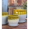 Pacific Planter w/ Attached Saucer Goblet Sm Egg Yolk 8 in. x 7-1/2 in.