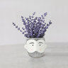 Abbott Planter Bearded Man 6-1/2 in.