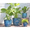 Pacific Pot Coco Lg Green 15 in.