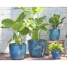 Pacific Pot Coco Sm Green 9 in.