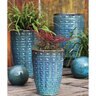 Pacific Planter Agapanthus Tall Med Deep Blue Sea 15-1/2 in. x 15-1/2 in. x 23-1/2 in.