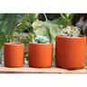 Pacific Planter Med Sunset Orange 6-1/2 in.