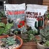 Heirloom Soils The Works Indoor Potting Mix 8 qt. Bag