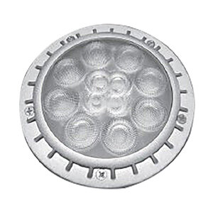 Par36WFL10/RGBW/IP68/LED