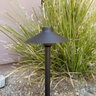 BrillianceBlack Diamond Path Light Blackened Brass 3W LED 24