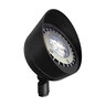 Halco PAR 36 Accent Light Black