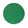 Moon Vision Green Lens for Par38