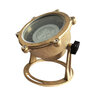 Bosch Underwater PAR36 Pond Light, Brass 304 Construction, Ideal for Aquatic Illumination