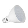 Green Creative PAR30 13W 3000K 15 Degree Bulb LED