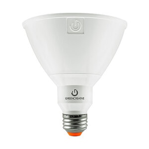 Green Creative 17W PAR 38 120W 3000K 40 Deg Light Bulb LED