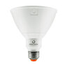 Green Creative 17W PAR 38 120W 3000K 40 Deg Light Bulb LED