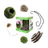 Kokedama Kit Original Cube 6 in.