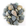 Palletized Mexican Beach Polished Pebbles Black 1 - 2 in.