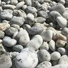 Palletized Mexican Beach Polished Pebbles White 1 - 2 in.