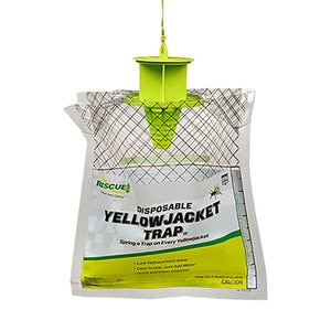 Rescue Yellow Jacket Trap - West