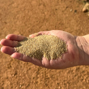 PFS Aggregates Infill Sand Natural/Tan #16/30 50 lb. (60 bags/pallet)