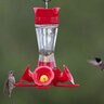 PerkyPet Pinch Waist Glass Hummingbird Feeder