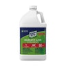 Klean Stirp Green Muriatic Acid 1 gal.