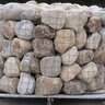 Palletized Beach Stone Medium Round 7