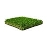 Integriturf Synthetic Turf Pacific Rye 1 3/4 in. 60 oz.