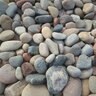 Palletized Rocky Mountain Cobbles 1 - 2 in.