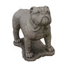 Massarelli Statue English Bulldog 12-1/2 in. x 17-1/2 in. x 21-1/4 in.