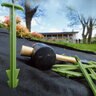 Western Green Biodegradable Stake 6 in. 500/Box