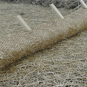 Wood Stake 1 in. x 1 in. x 48 in.