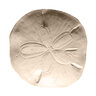 Nantucket Stepping Stone Sand Dollar Natural (26 pc./pallet)